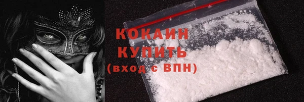 прущий лед Богданович