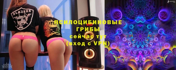 спиды Армянск